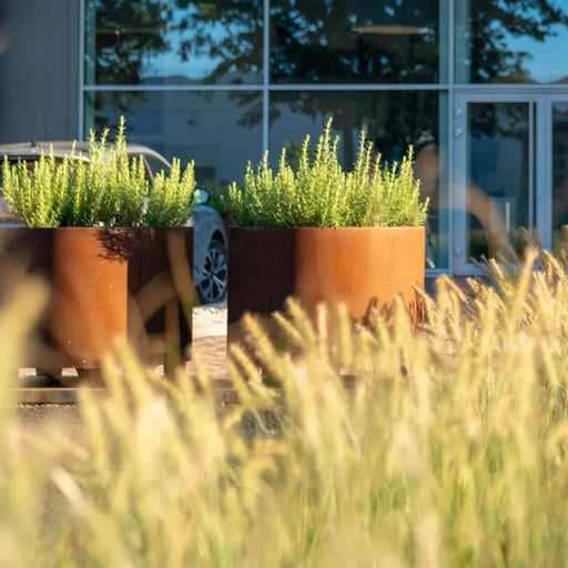 Circum cortenstaal plantenbak met poten