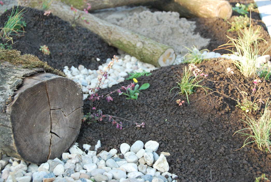 Sempergreen biodiversiteit boomstam