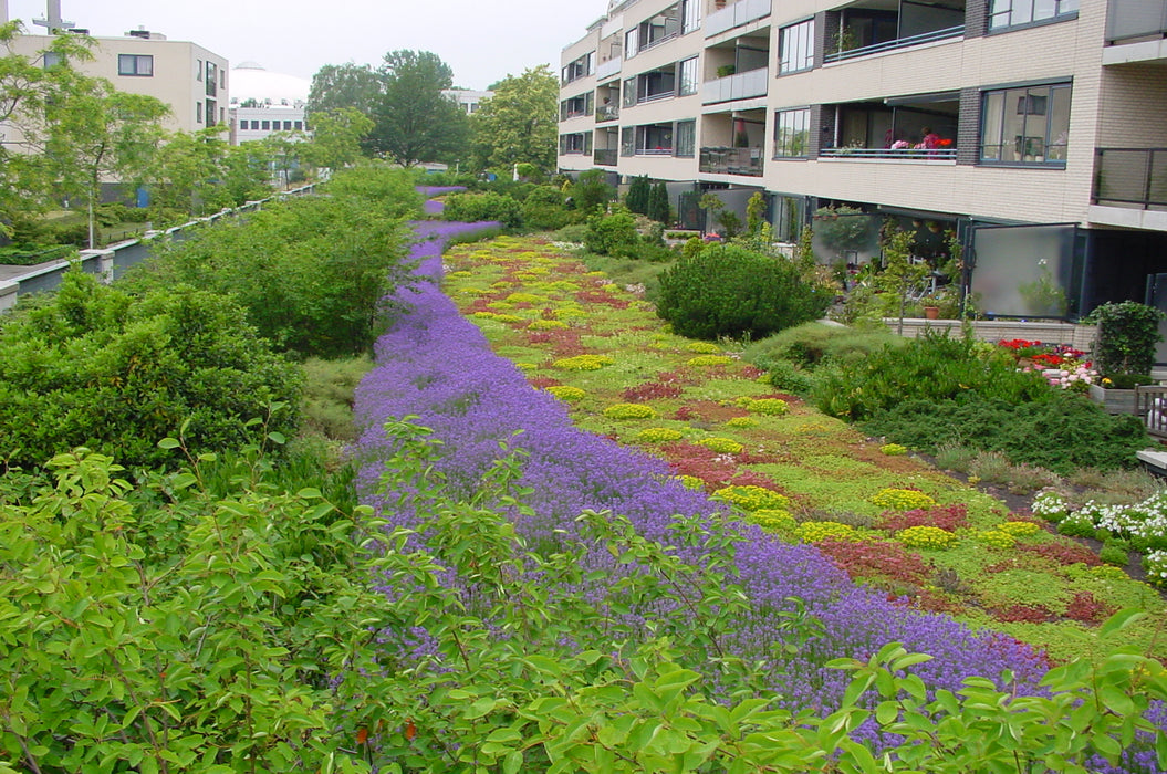 Daktuin op parkeergarage 